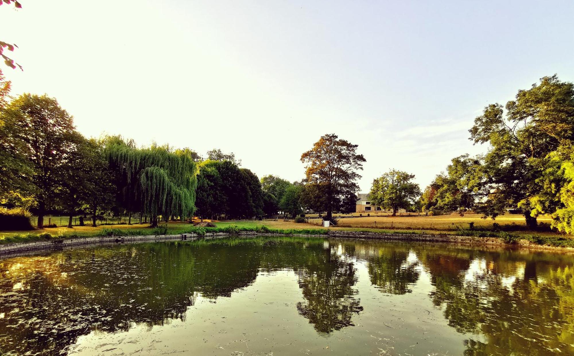 圣康坦索勒Domaine De L'Isle Maniere公寓 外观 照片